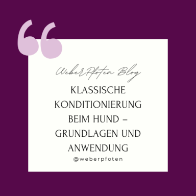 Klassische Konditionierung beim Hund: Grundlagen und Anwendung.