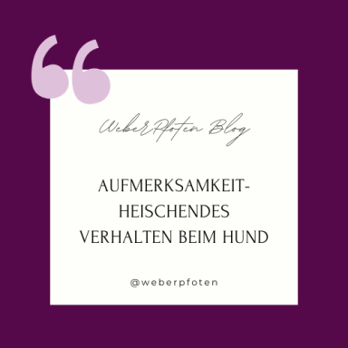 Aufmerksamkeitheischendes Verhalten beim Hund: Ursachen und Lösungen.