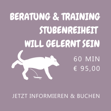 Beratung & Training Stubenreinheit