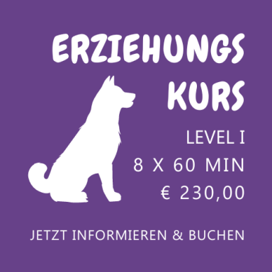 Erziehungskurs Level I