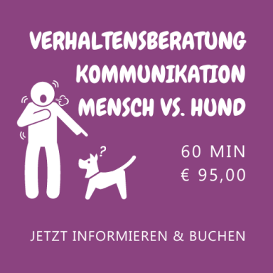 Beratung und Training für Hunde mit Problemverhalten