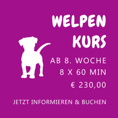 Welpen Kurs