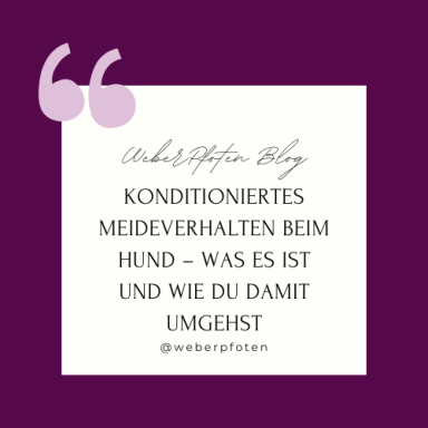 Konditioniertes Meideverhalten beim Hund: Ursachen und Lösungen.