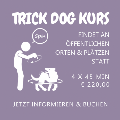 Trick Dog Kurs - Gruppenkurs