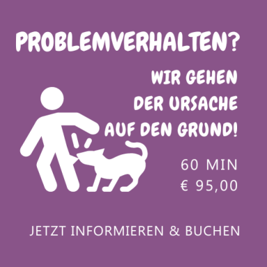 Beratung und Training für Hunde mit Problemverhalten