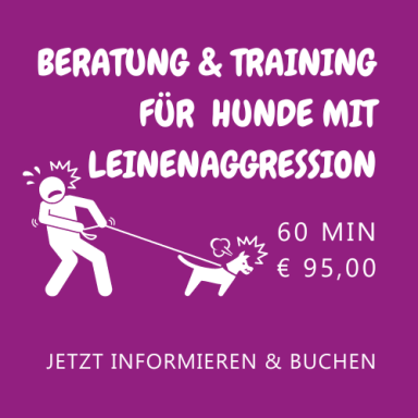 Beratung & Training für Hunde mit Leinenaggression