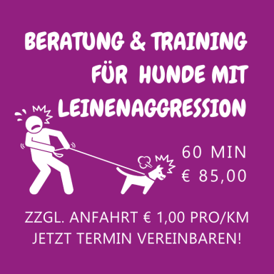 Beratung & Training für Hunde mit Leinenaggression
