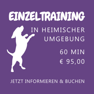 Einzeltraining in heimischer Umgebung