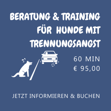 Beratung & Training für Hunde mit Trennungsangst