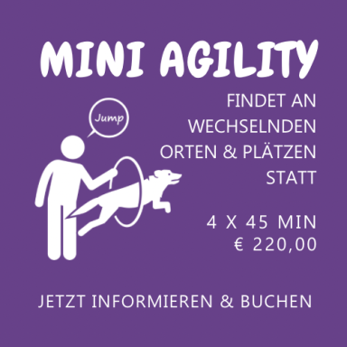 Mini Agility Kurs - Einzeltraining oder Gruppenkurs