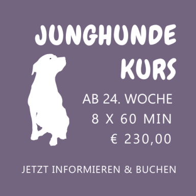 Junghunde Kurs ab 24. LW