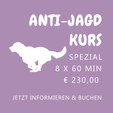 Anti-Jagd-Kurs - Spezial -