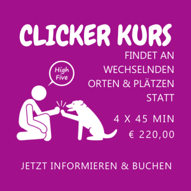 Clicker Kurs - Gruppentraining