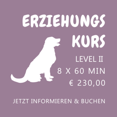 Erziehungskurs Level II