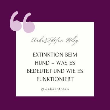 Extinktion beim Hund: Unerwünschtes Verhalten nachhaltig abbauen.