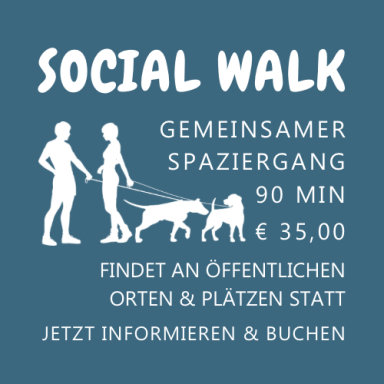 Social Walk - Sozialkompetenz für Hunde