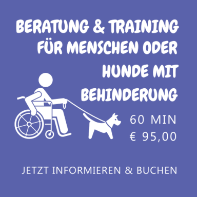 Beratung und Training für Hundebesitzer oder Hunde mit Handicap