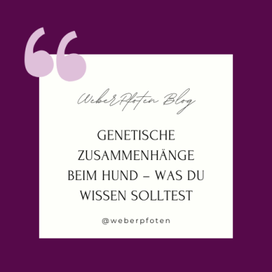 Genetische Zusammenhänge beim Hund: Einfluss auf Verhalten und Gesundheit.