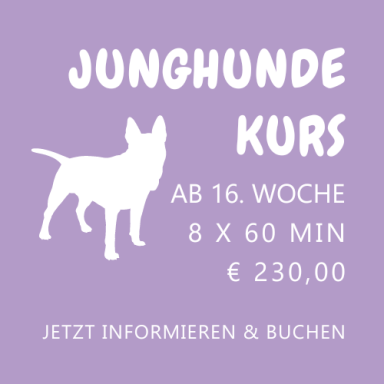 Junghunde Kurs ab 16. LW