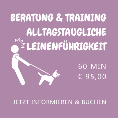 Beratung & Training für alltagstaugliche Leinenführigkeit