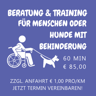 Beratung und Training für Menschen oder Hunde mit Handicap